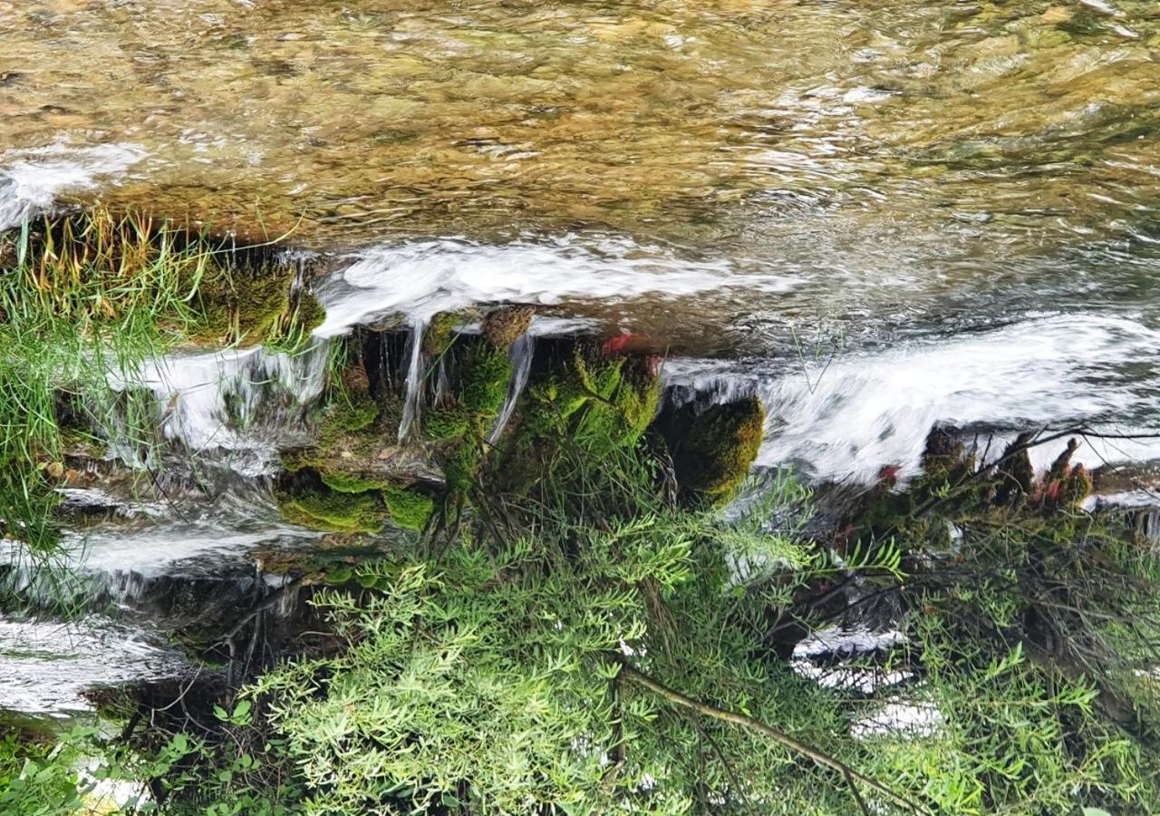 Green Eden Gornji Zvecaj Экстерьер фото