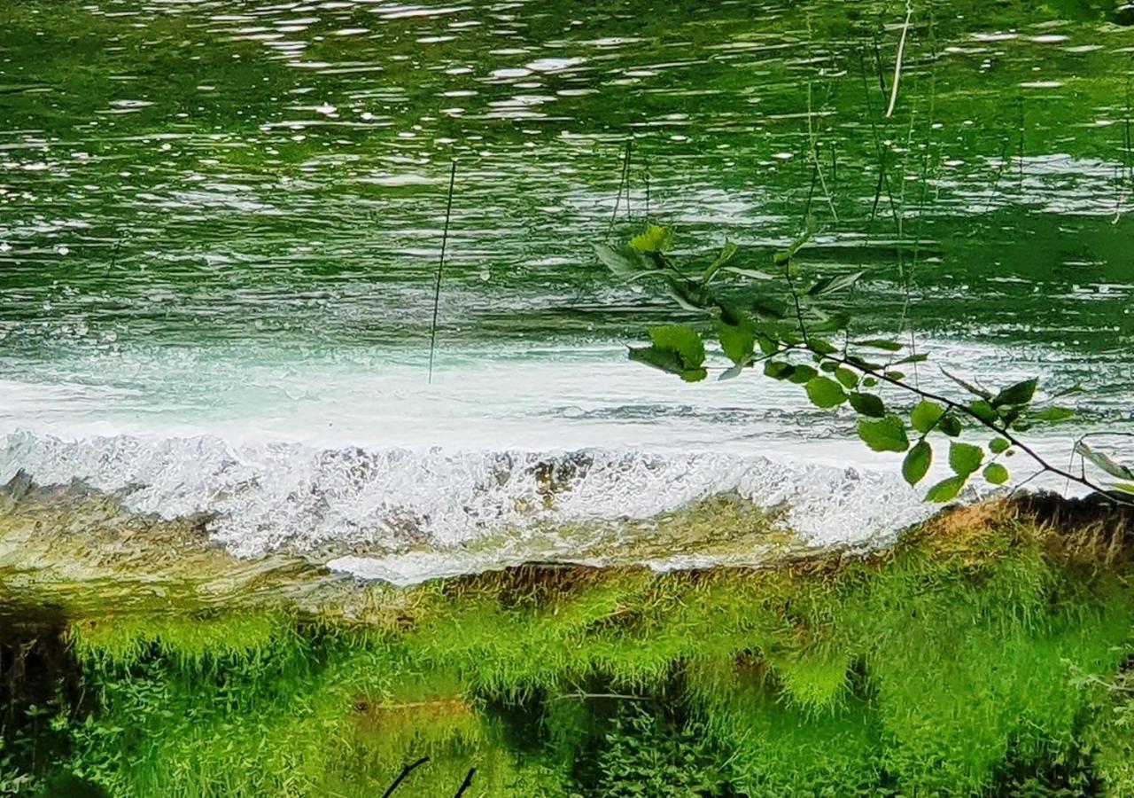 Green Eden Gornji Zvecaj Экстерьер фото